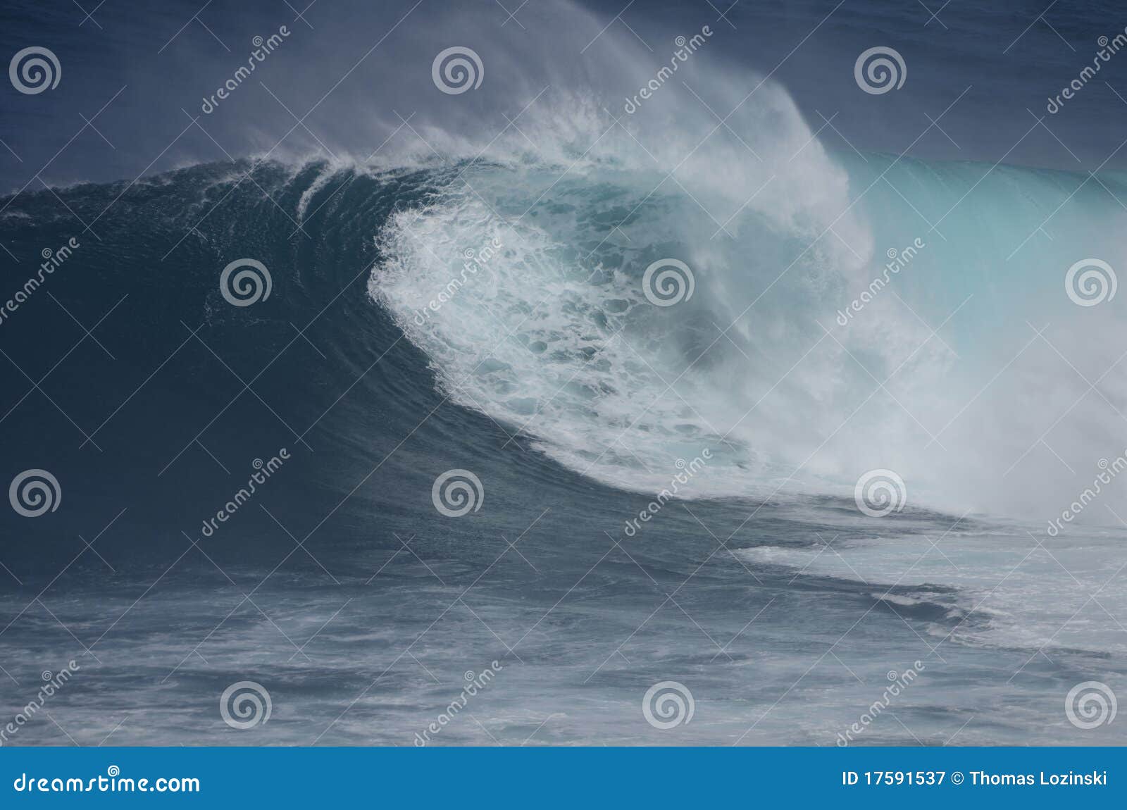 Jaws stock image. Image of wave, reef, jaws, pacific 17591537