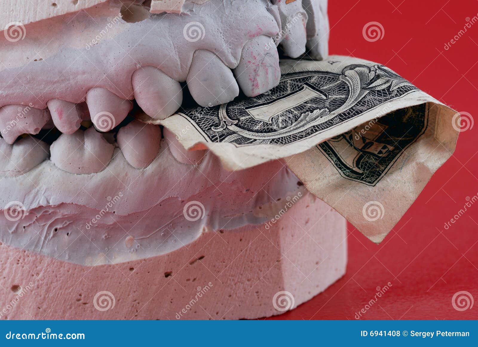 Jaws hold banknote stock photo. Image of money, cash, education 6941408