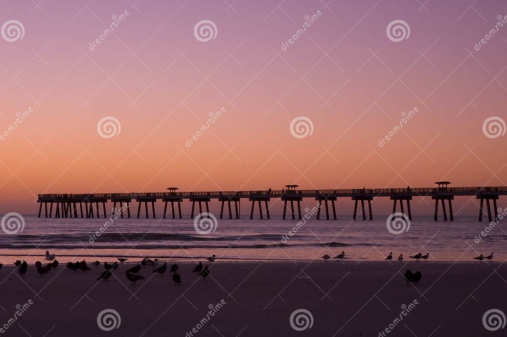 Jax Beach at Dawn stock photo. Image of colorful, sand 123748