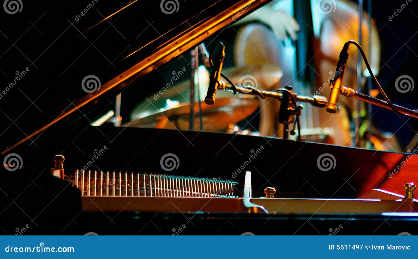 DoubleBass Neck Block Stock Image 1860259