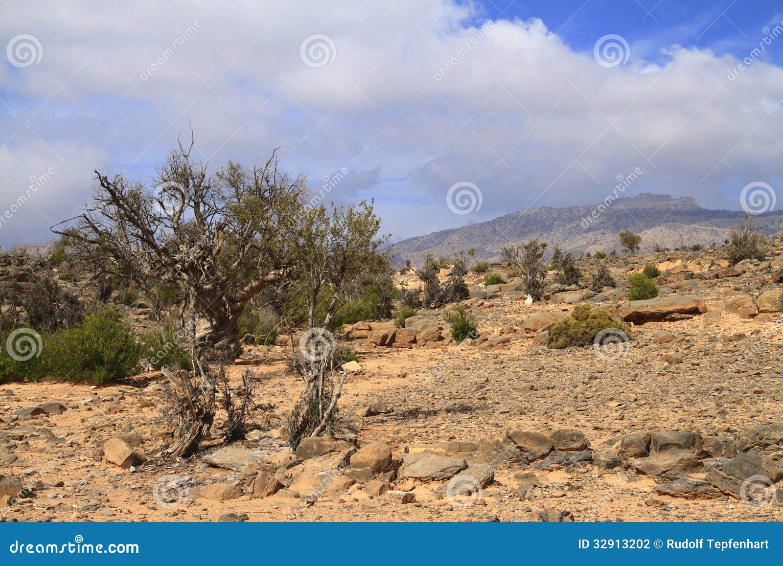 jebel shams