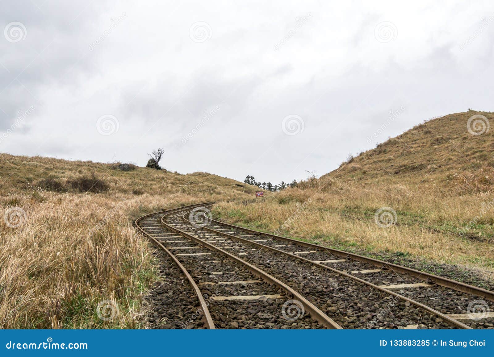 jeju island rail park