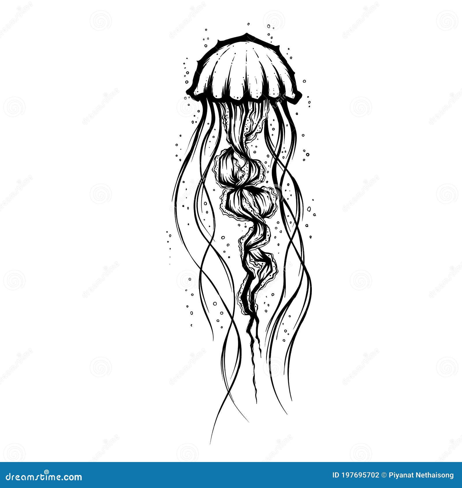 Jellyfish Tattoo