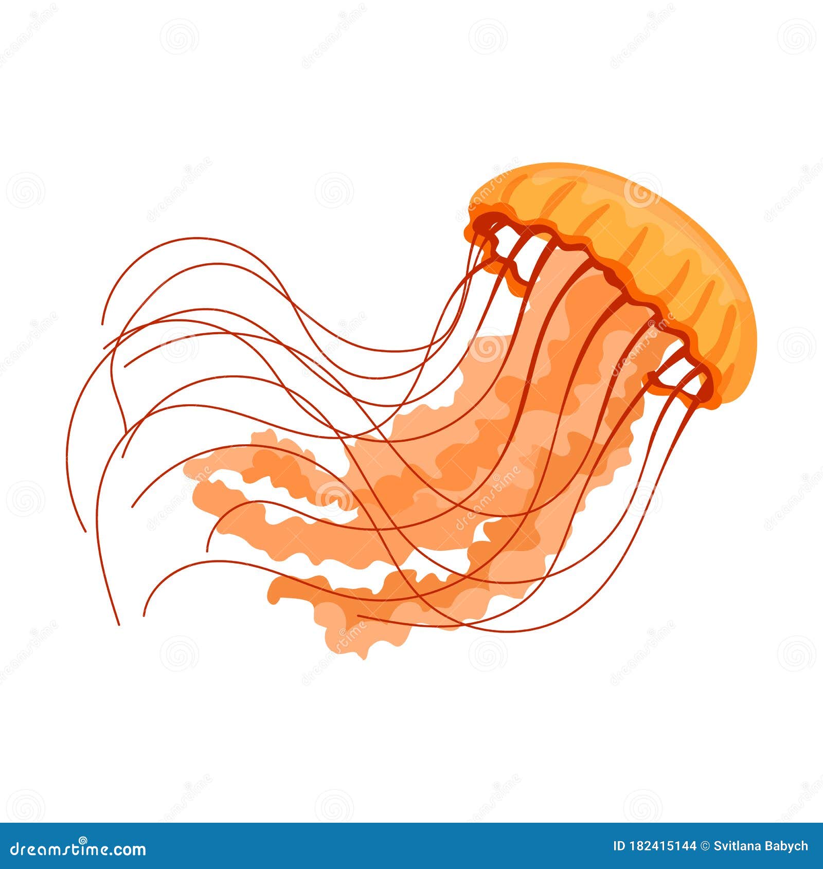 Jellyfish Vector Icon.Cartoon Vector Icon Isolated on White Background