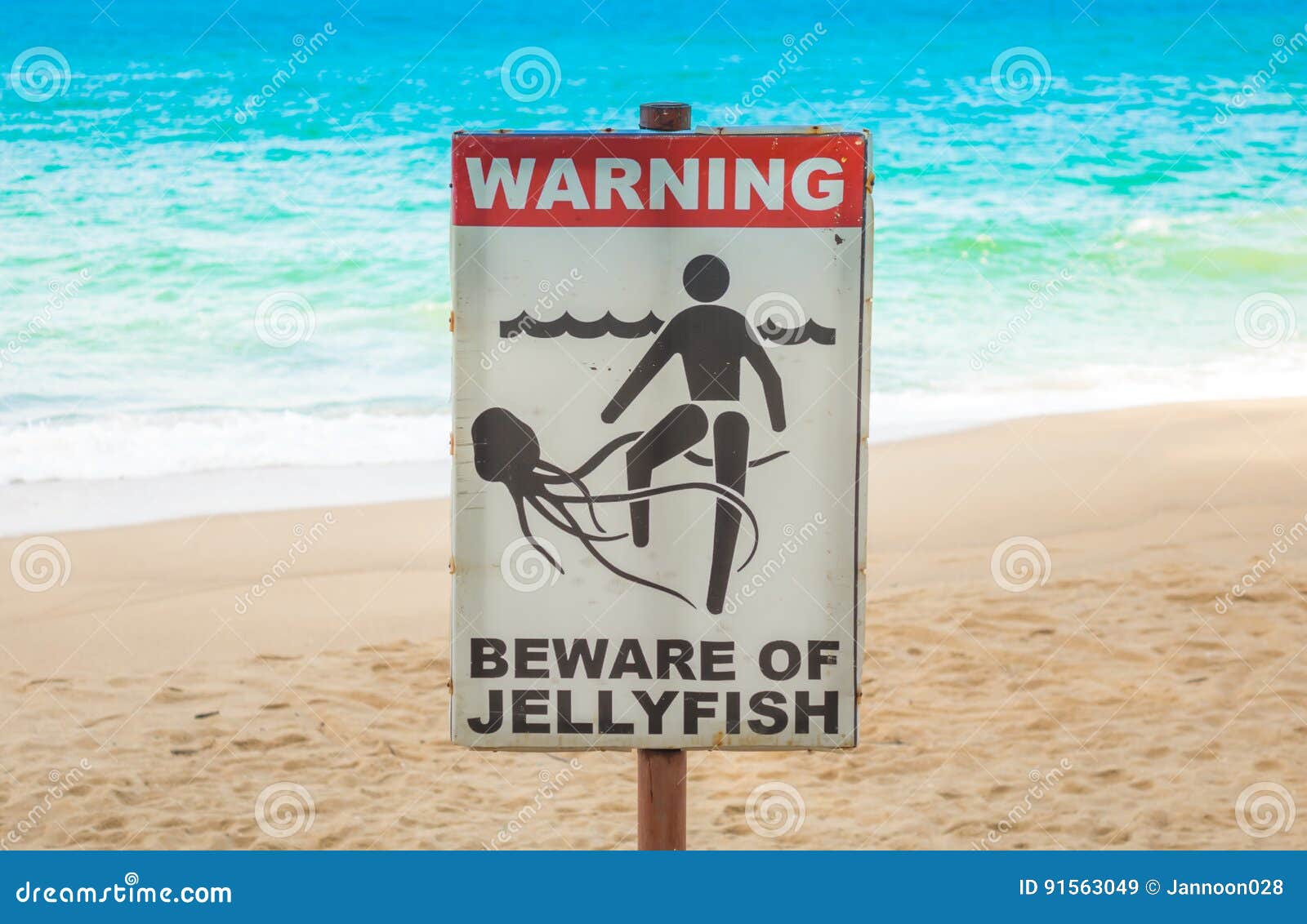 Jellyfish Warning Sign RoyaltyFree Stock Photo