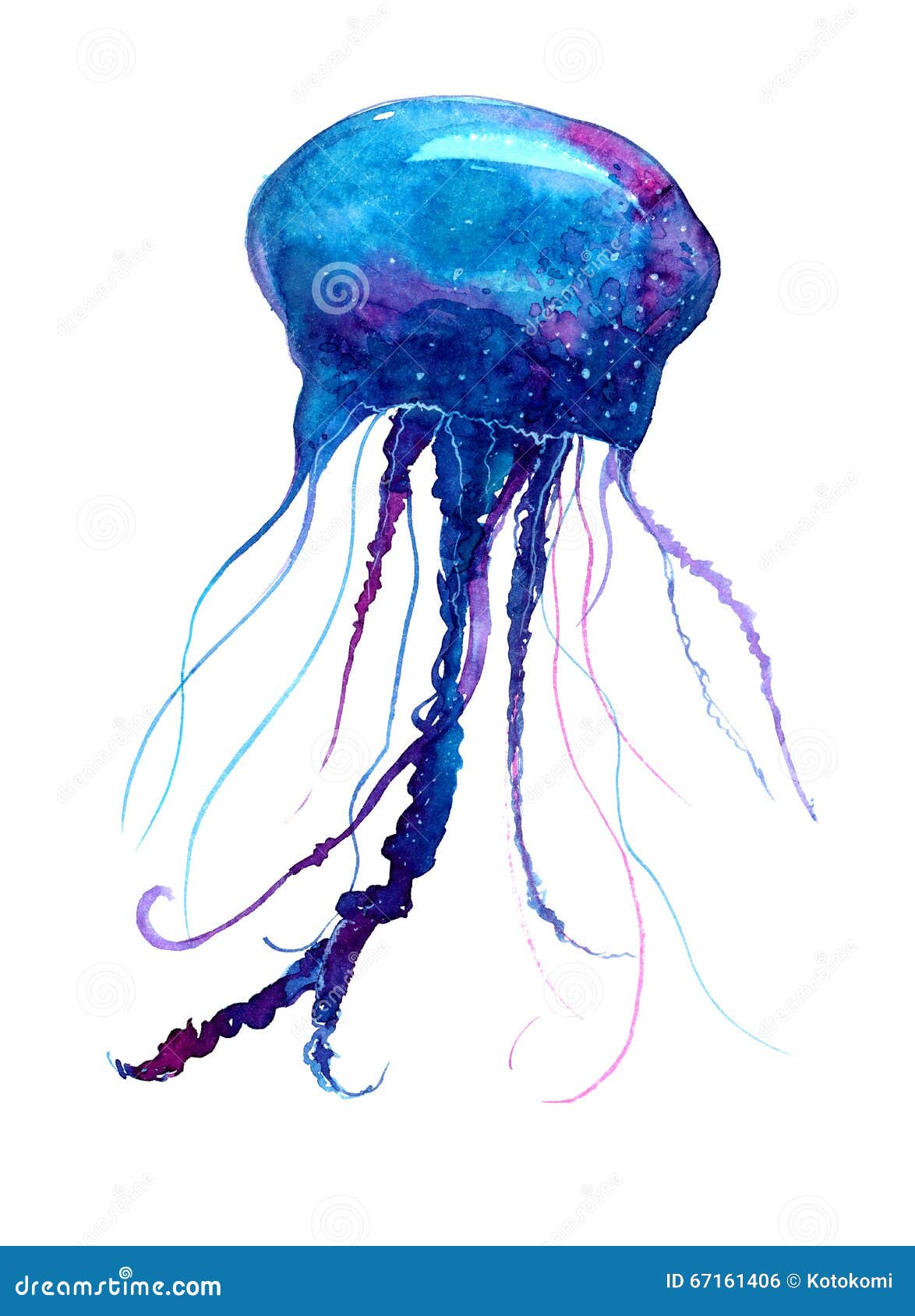 Medusa @stef_marchesi #jellyfish... - ICON Tattoo Studio | Facebook