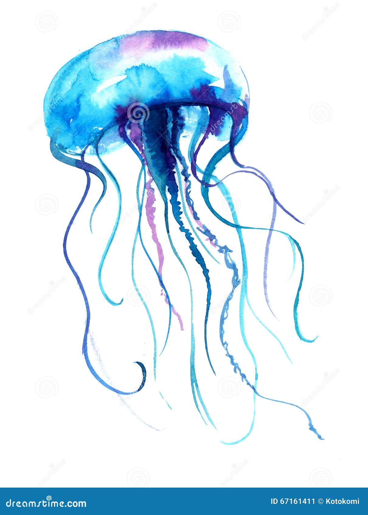 Jellyfish Watercolor Illustration. Medusa Painting Isolated on White