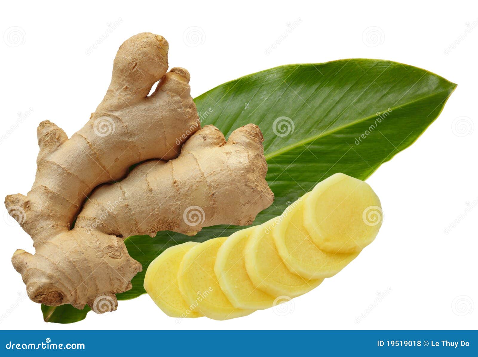Jengibre y hoja foto de archivo. Imagen de crudo, ingrediente 19519018