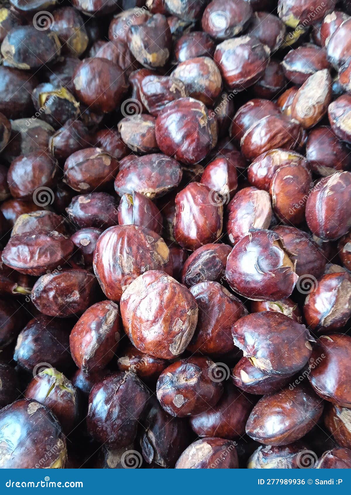 jengkol (archidendron pauciflorum) dogfruit ngapi nut.