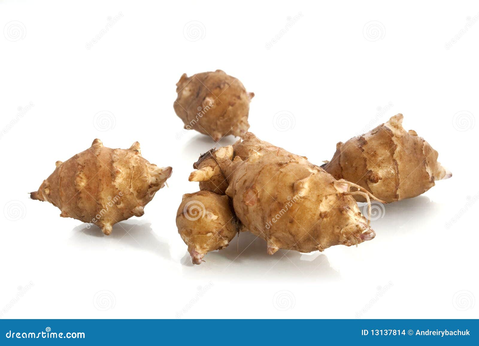 Jerusalem artichoke stock photo. Image of diet, sunroot 13137814