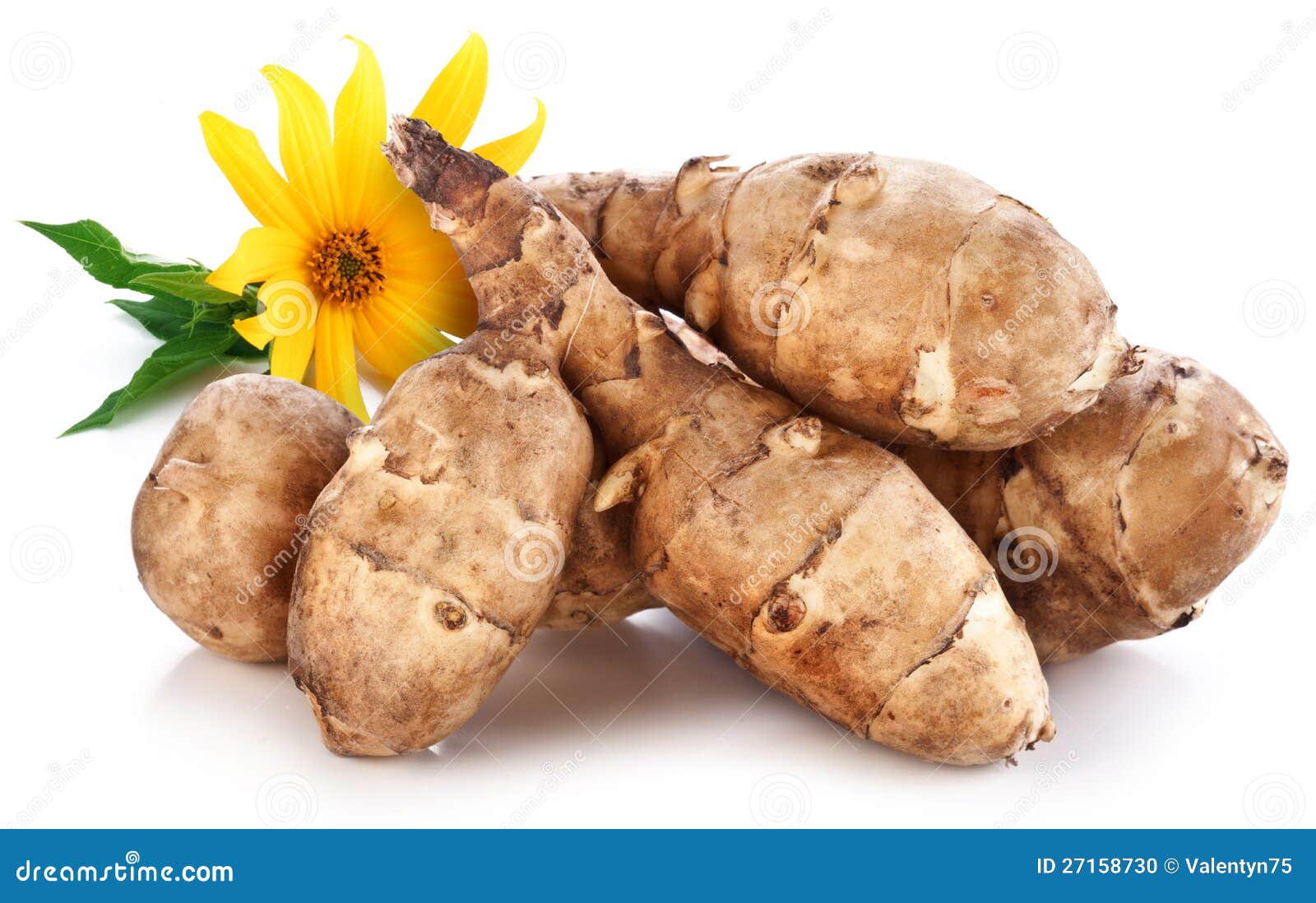 Jerusalem Artichoke Puree, Spinach And Truffle Oil With Baked Me Stock