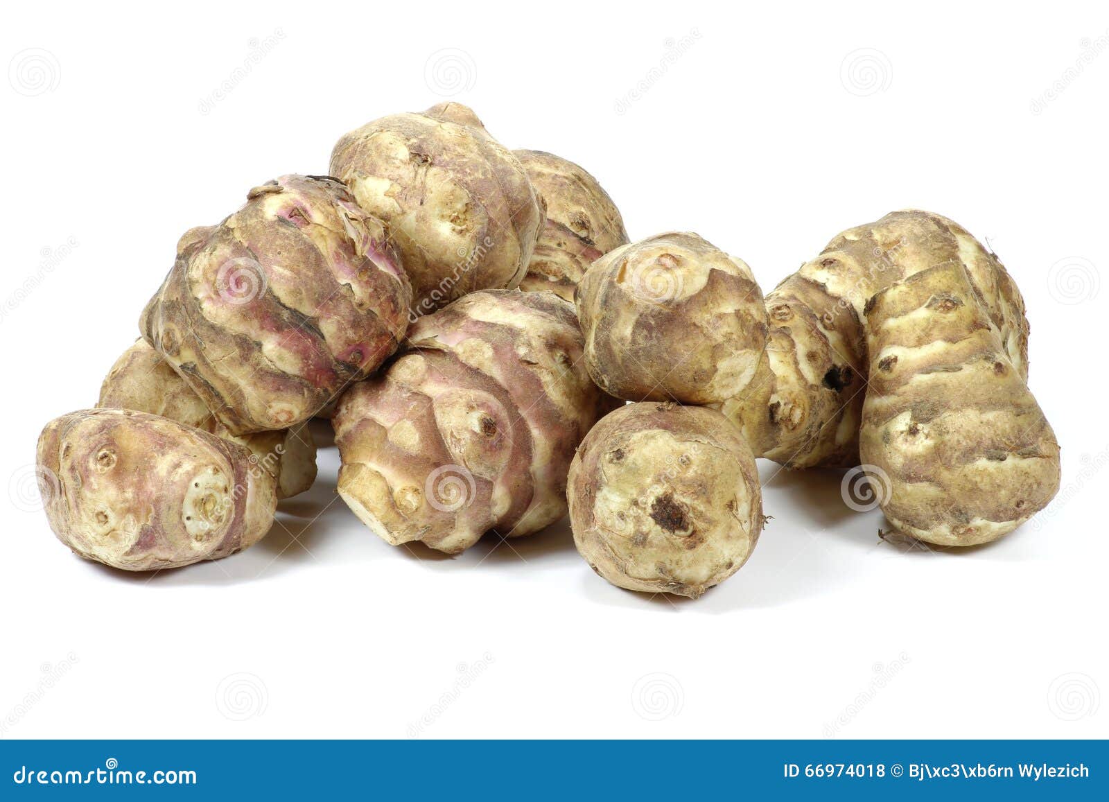 Jerusalem artichoke stock photo. Image of fresh, eating 66974018