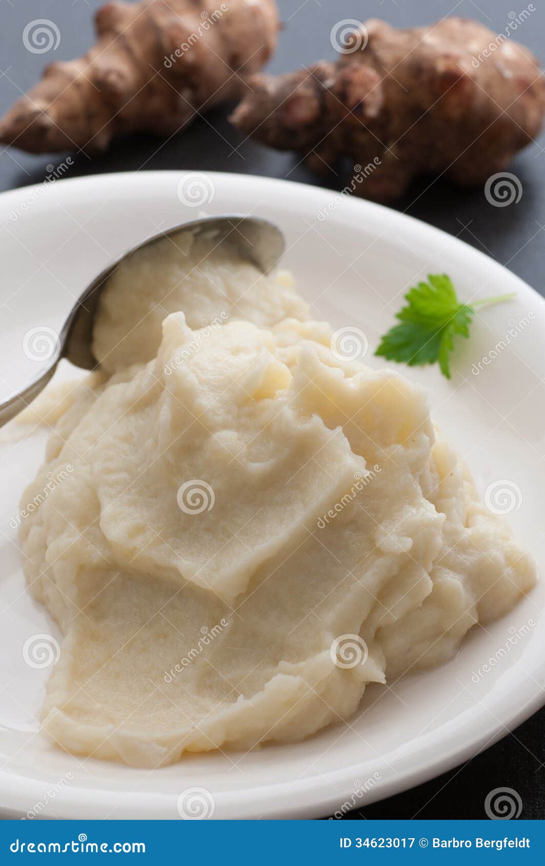 Jerusalem Artichoke Puree stock image. Image of gluten 34623017