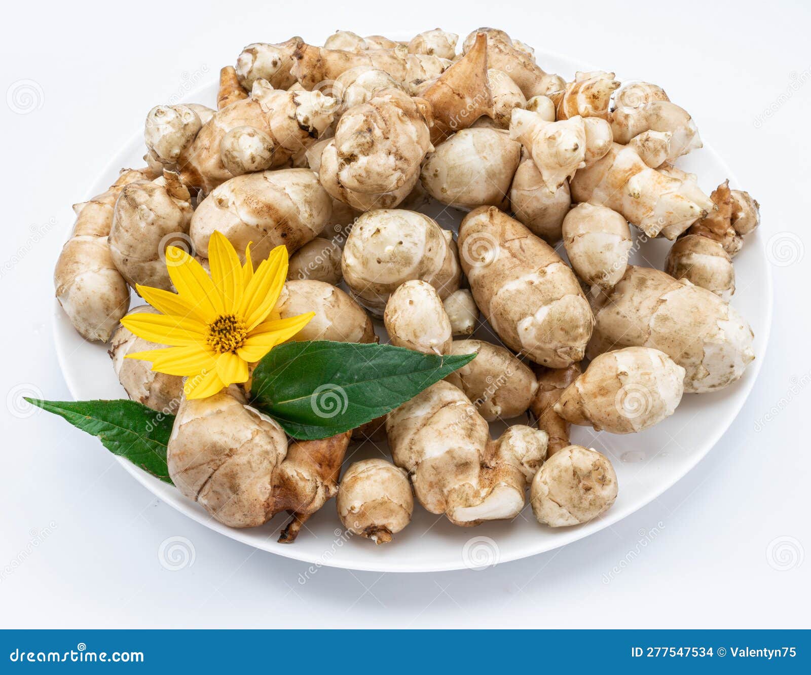 Jerusalem Artichoke Roots with Leaves and Flower of Jerusalem Artichoke