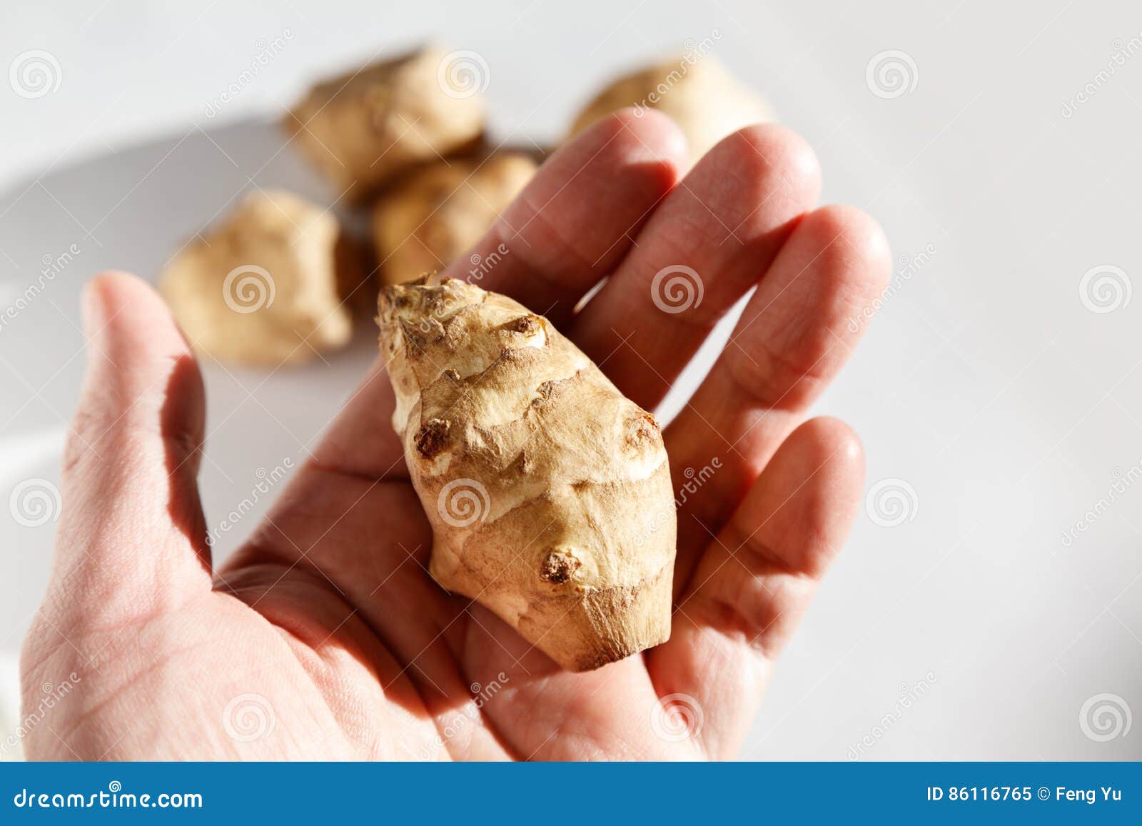 jerusalem artichoke