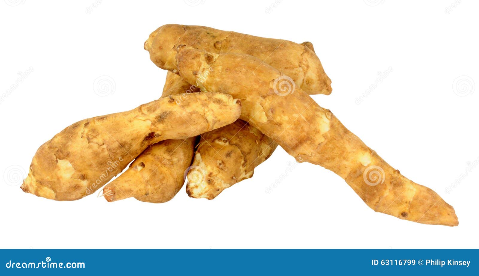 Jerusalem Artichokes stock image. Image of natural, grouped 63116799