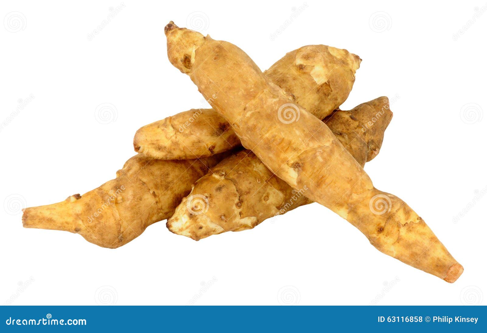 Jerusalem Artichokes stock photo. Image of isolated, cooking 63116858