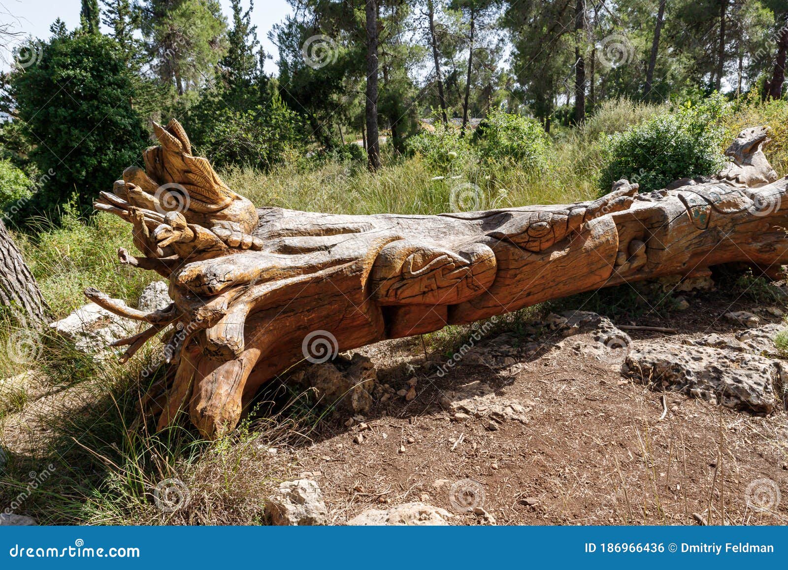 a fallen tree in various figures carved on the trunk in the totem park in the forest near the settlements of har adar and abu