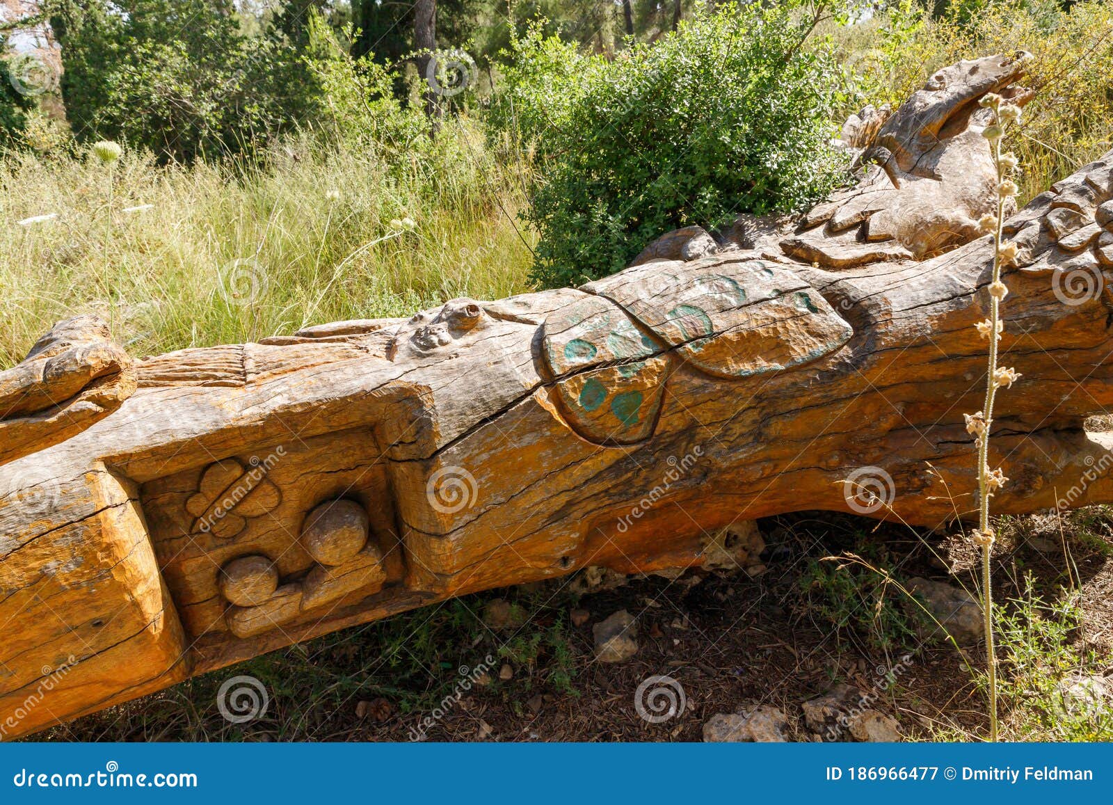 a fallen tree in various figures carved on the trunk in the totem park in the forest near the settlements of har adar and abu