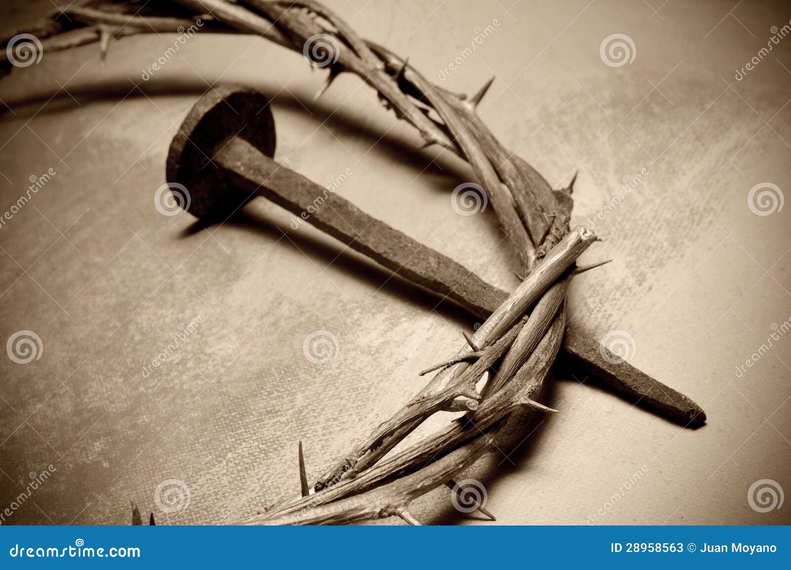 jesus christ crown of thorns and nail