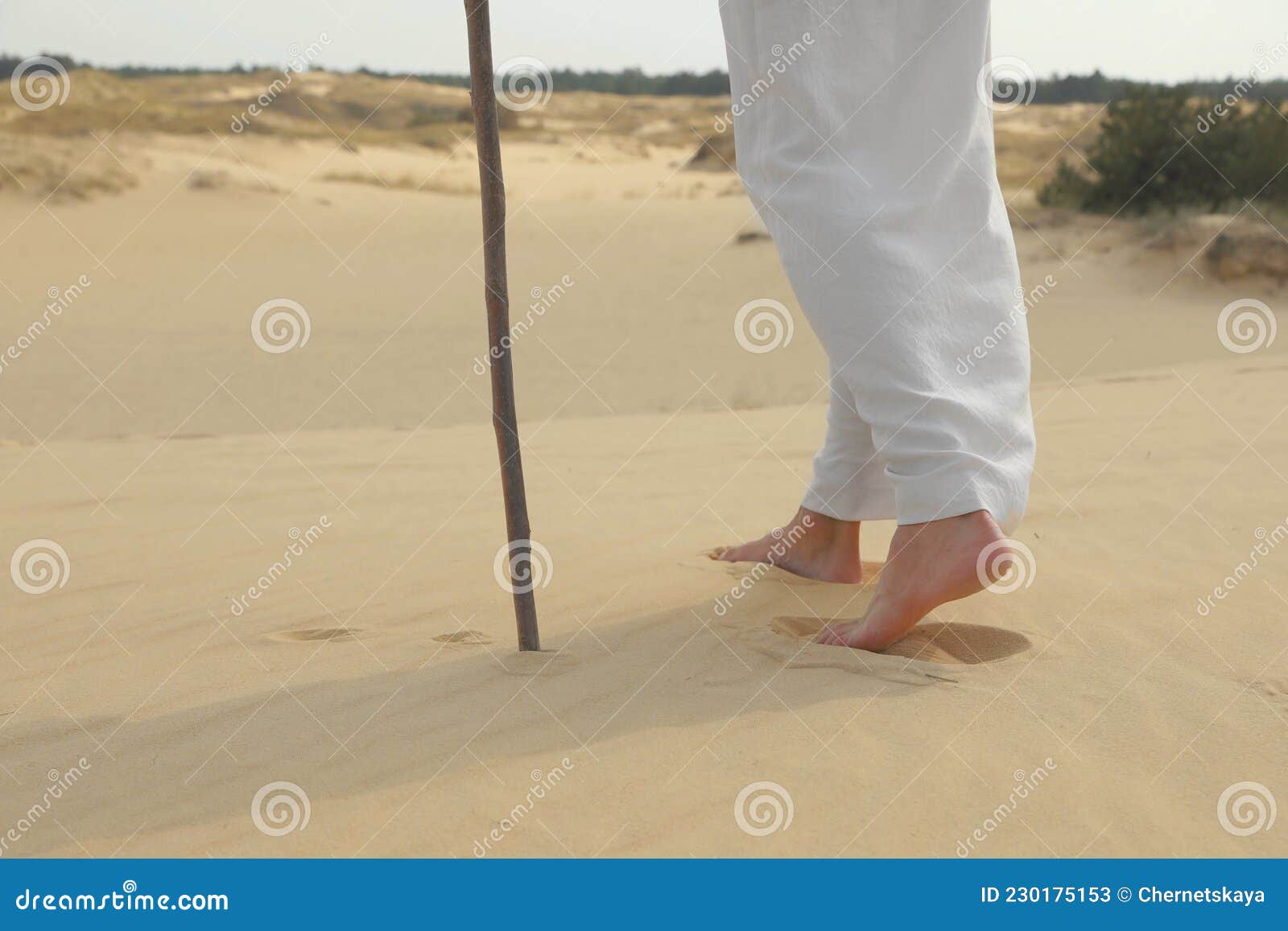 Jesus Christ Walking in Desert, Closeup View Stock Image - Image of ...