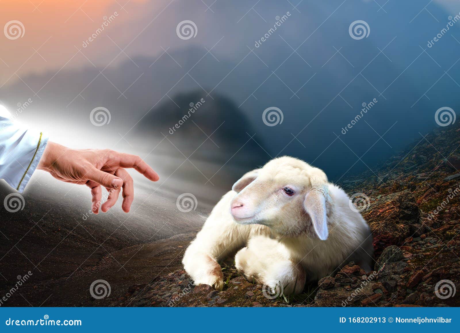 jesus hand reaching out to a lost sheep