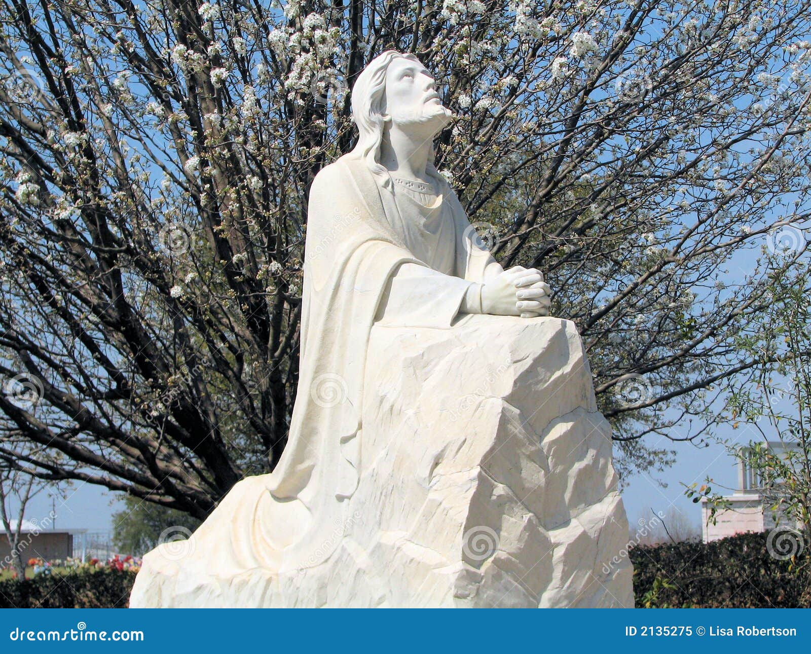 Jesus Praying In The Garden Stock Image Image Of Peace Lord