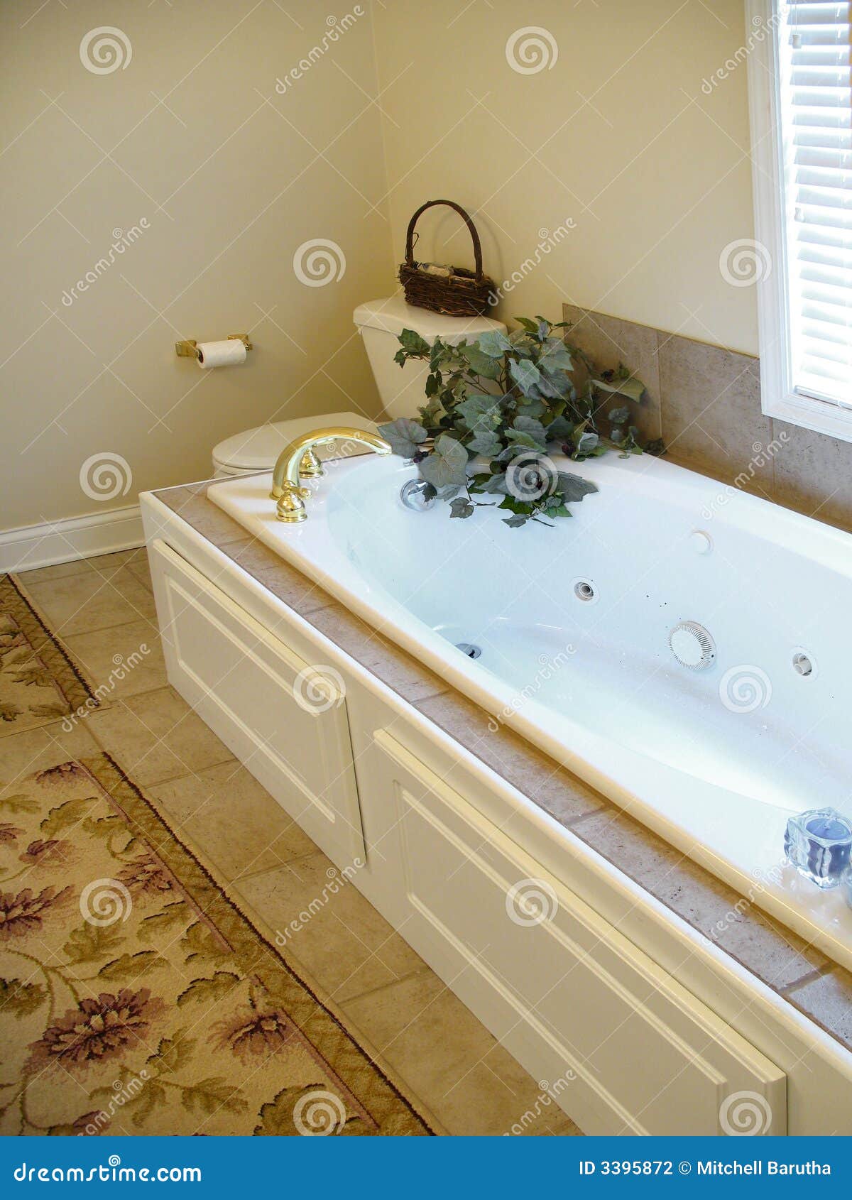 Jet tub in bathroom stock photo. Image of plant, bath 3395872