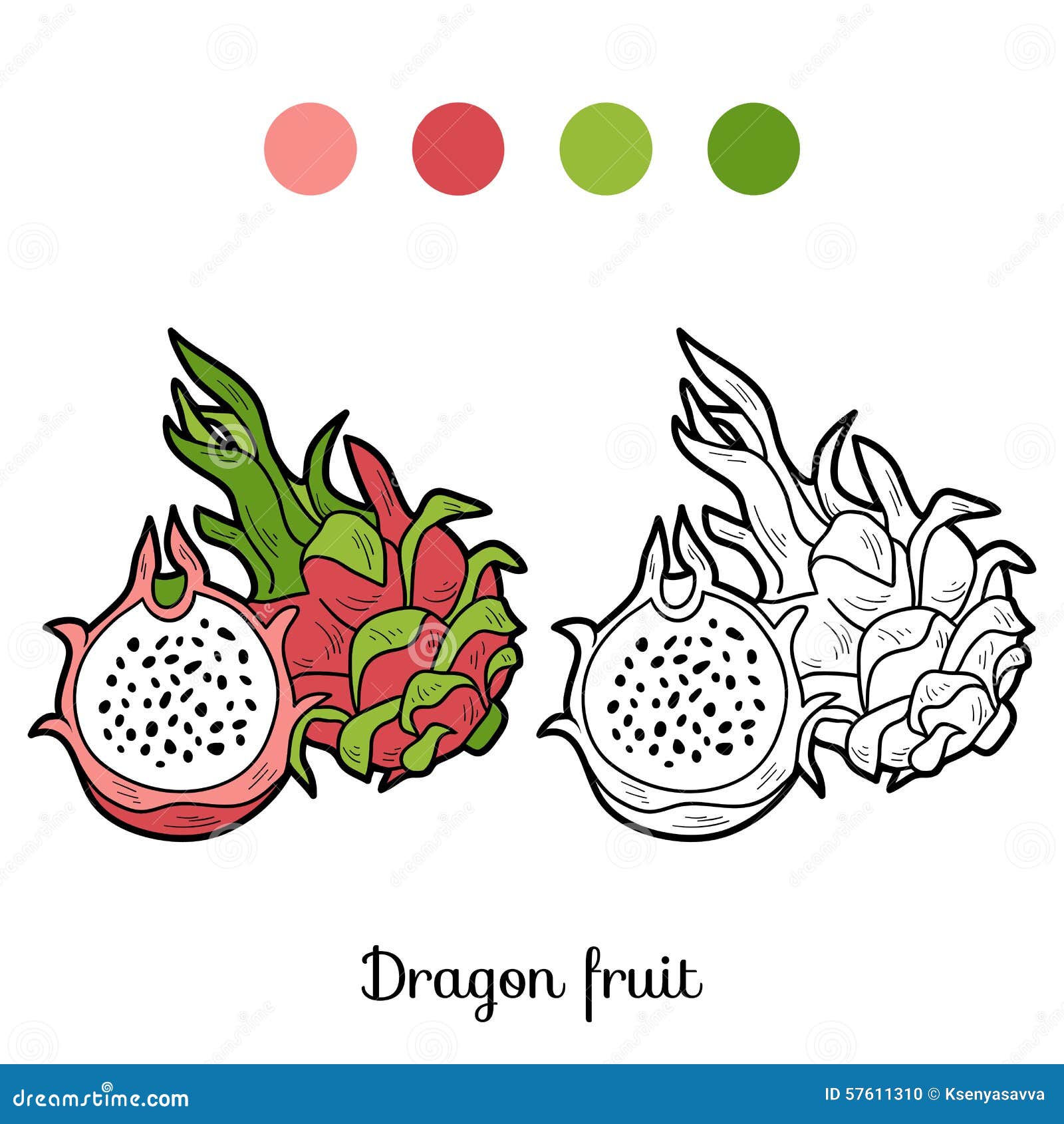 Jeu de livre de coloriage fruits et légumes fruit du dragon