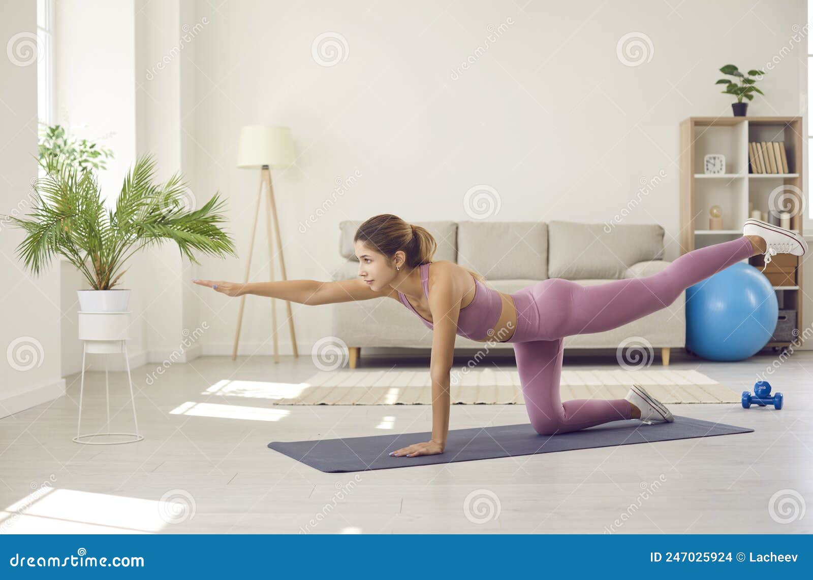 Jeune Femme Sportive Faisant De L'exercice à La Maison Debout à Quatre  Pattes Et Levant Jambe Et Bras. Photo stock - Image du aérobic, fuselage:  247025924