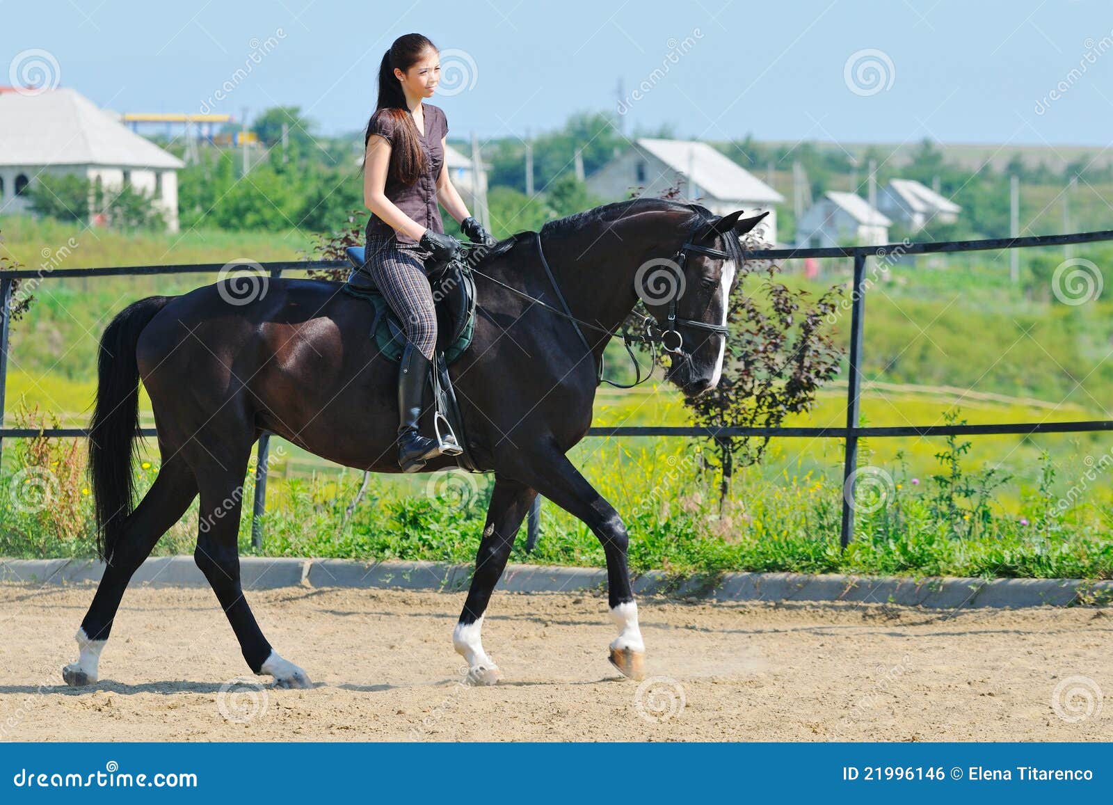Jeune fille et cheval noir photo stock. Image du équin - 21996146
