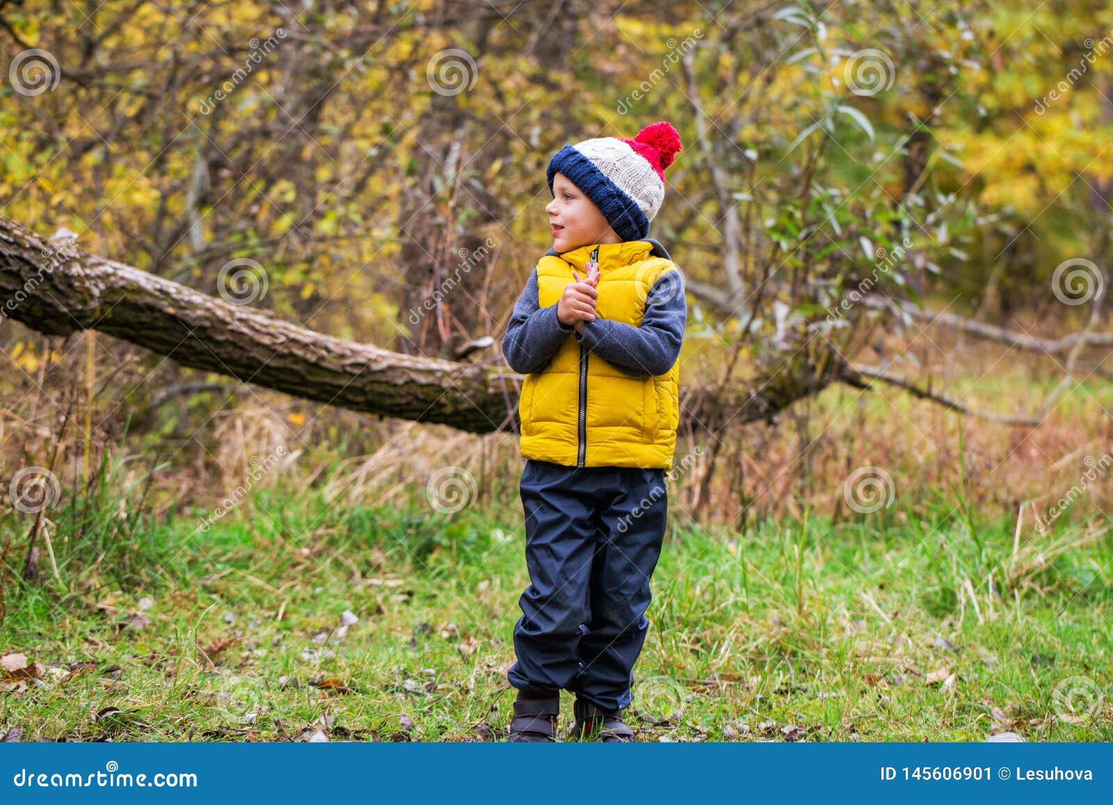 Petit Garçon Dans Un Gilet Jaune En Automne Photo stock - Image du