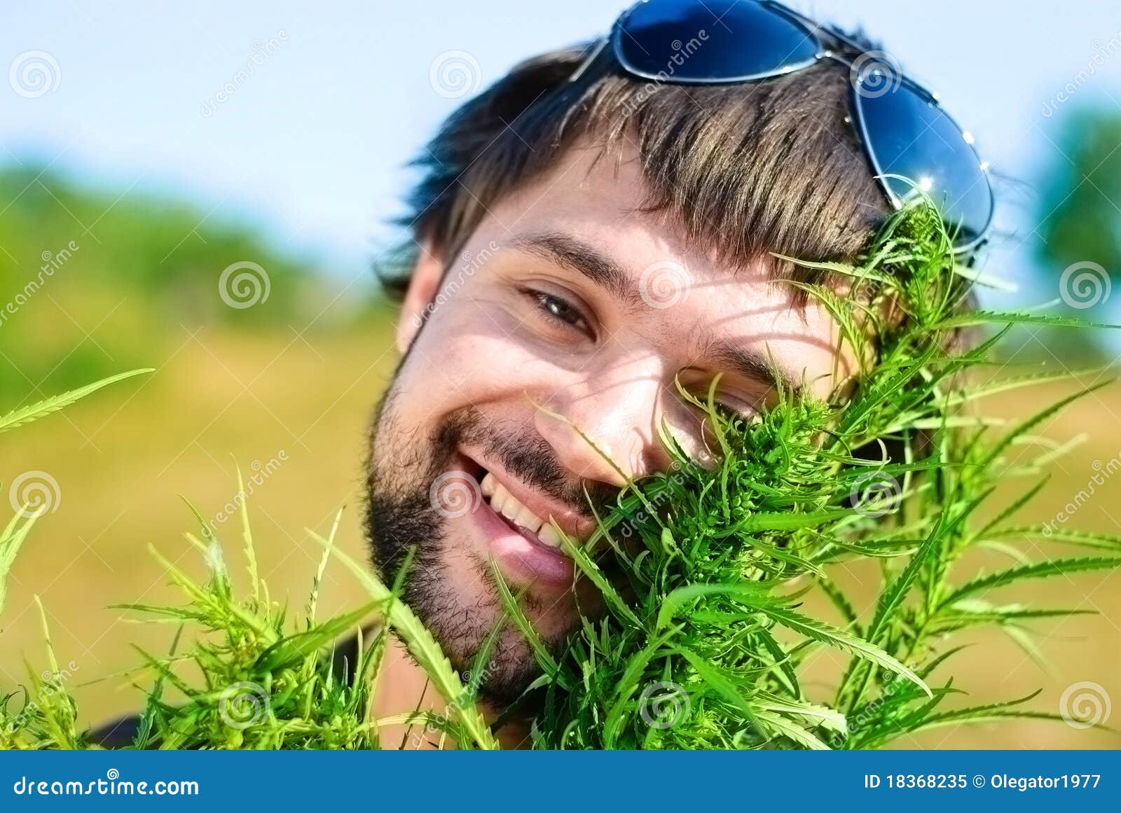 Jeune Homme Dans Le Buisson Du Cannabis Image stock Image du hippie, drogues 18368235