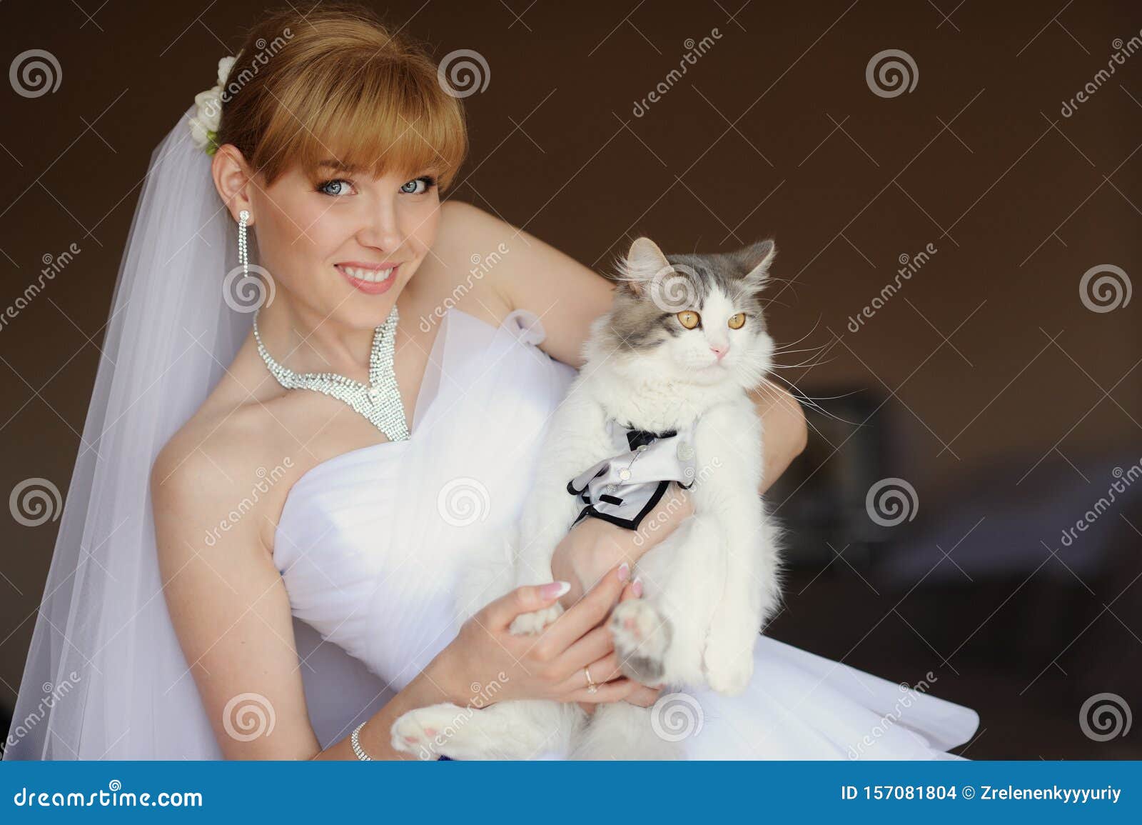 Jeune Mariee Avec Un Chat Sur Les Mains Photo Stock Image Du Visage Interieur Jeune Mariee Avec Un Chat Sur Les Mains Photo Stock Image Du Visage Interieur