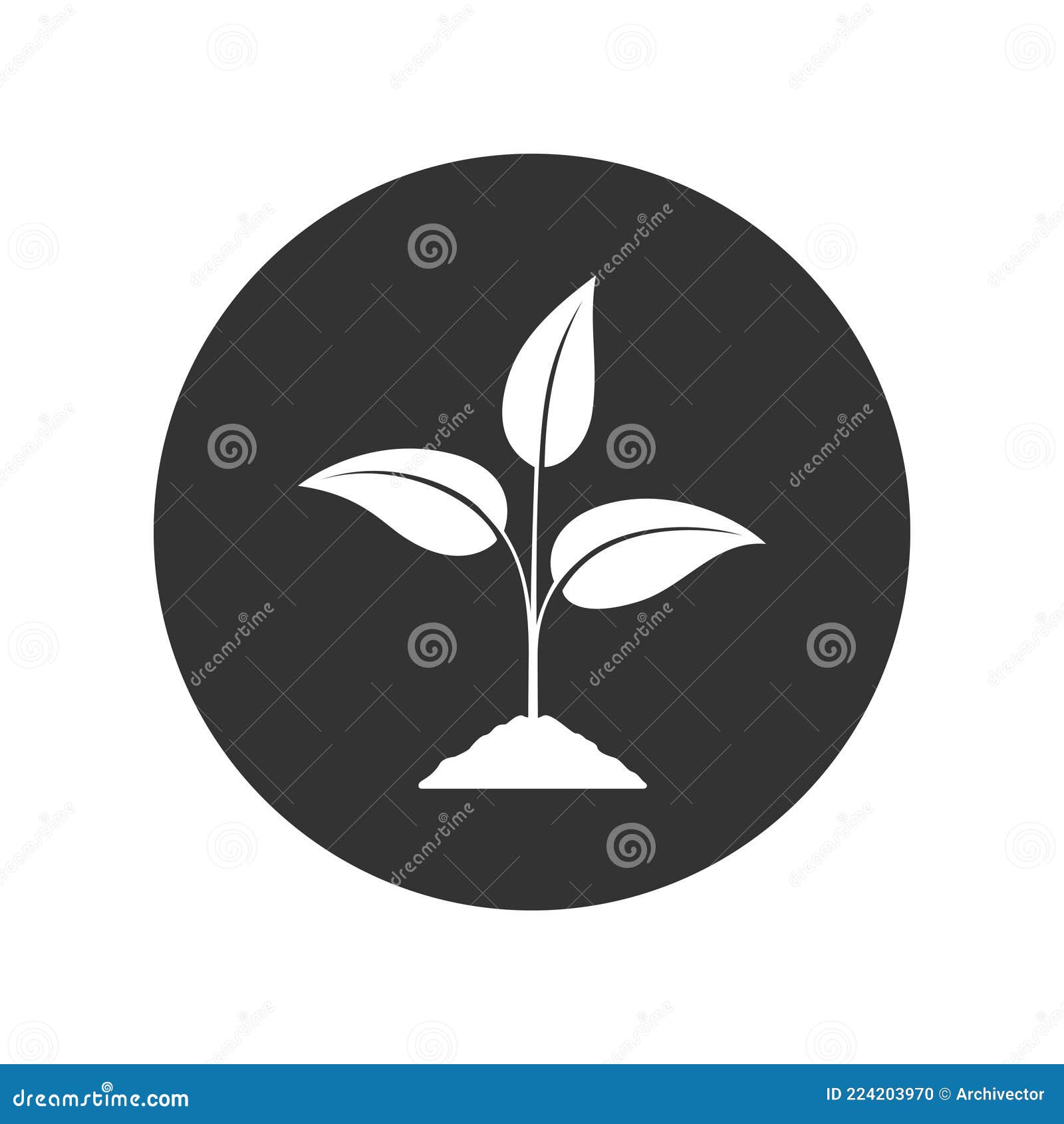 Jeune plante qui pousse Stock Vector