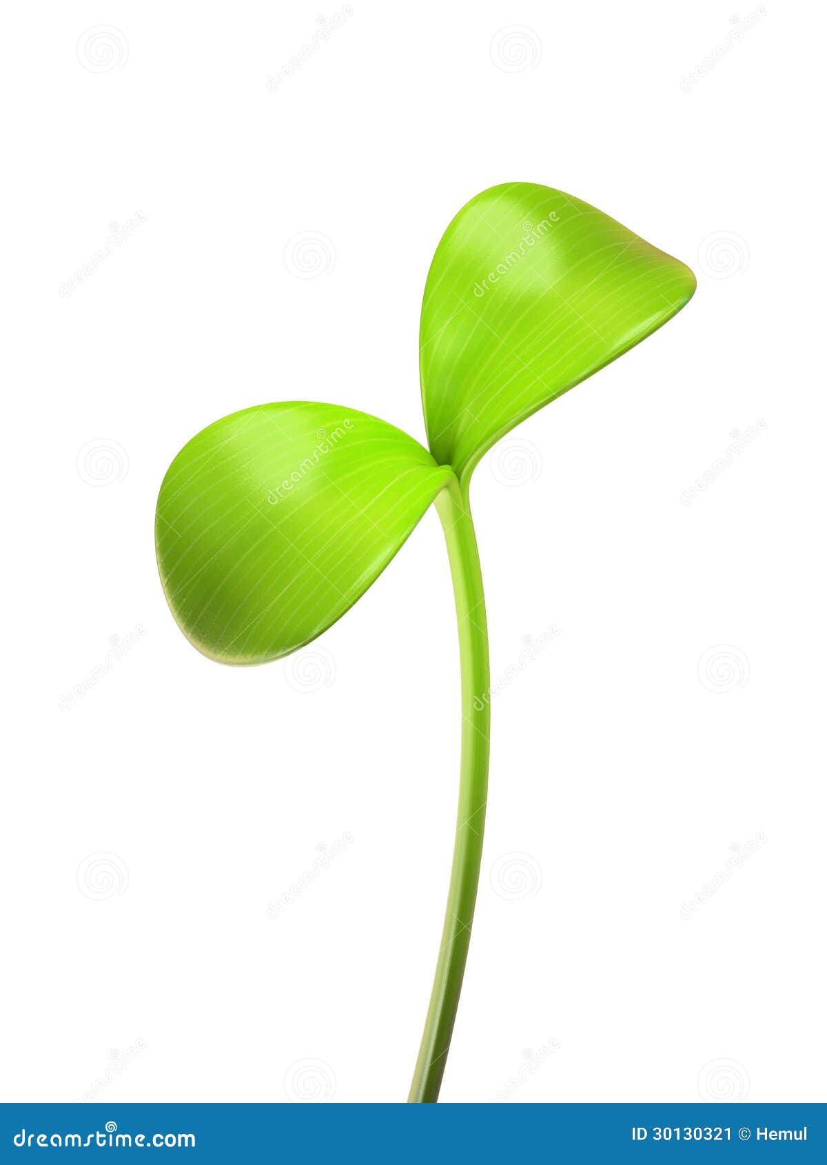 Jeune Pousse 5 Lettres Jeune Pousse Verte D'isolement Illustration Stock - Illustration du