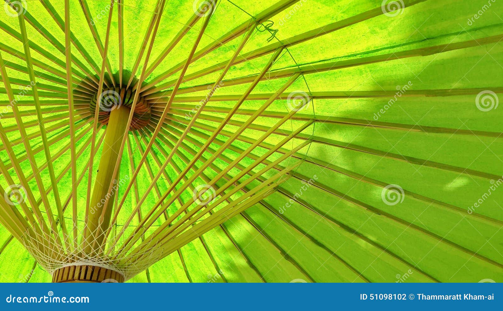 Jeunes adultes. Sous le parapluie vert avec l'ombre d'arbre en été