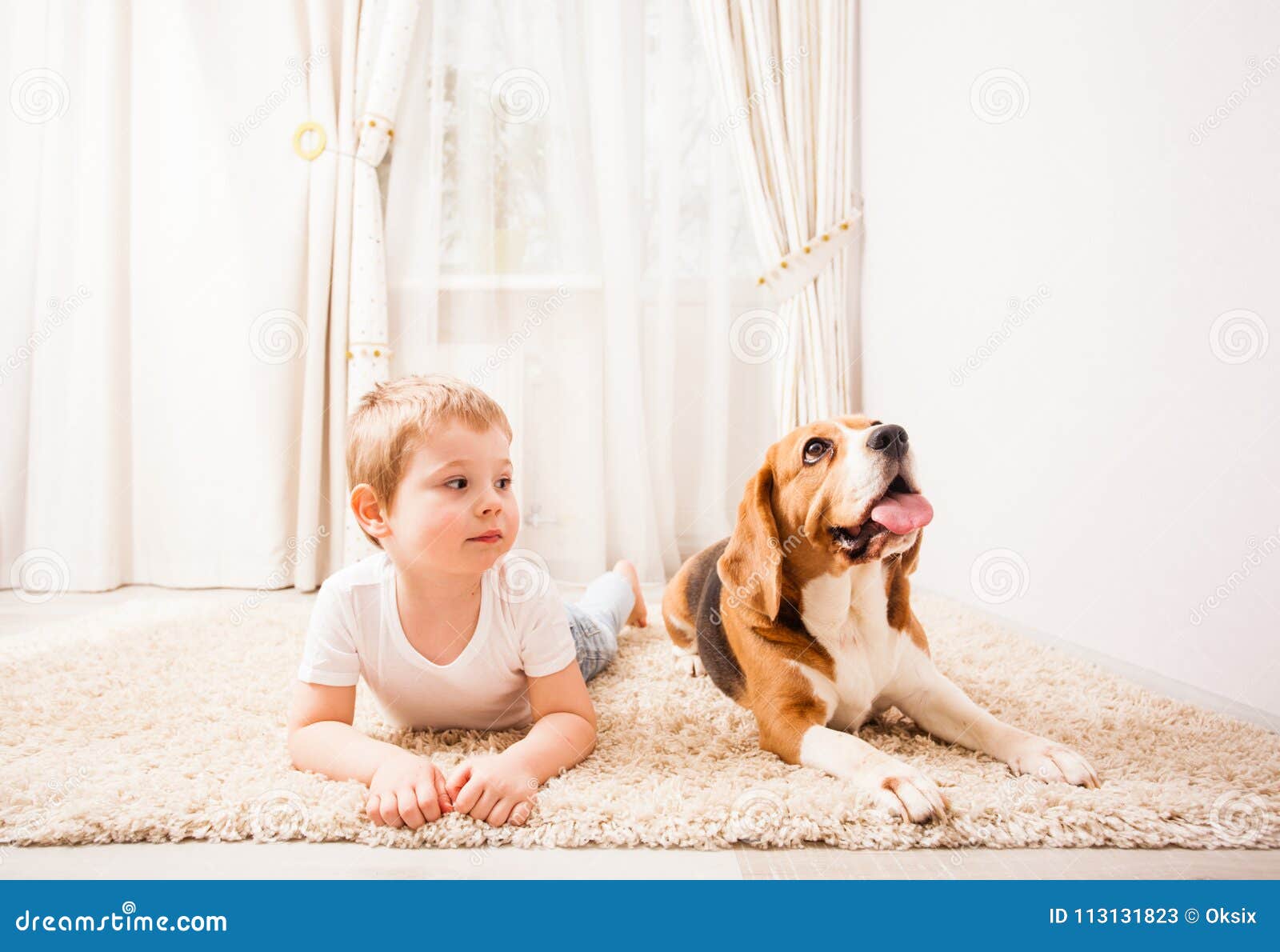 Jeux drôles de chien. Le chien et le garçon jouent ensemble