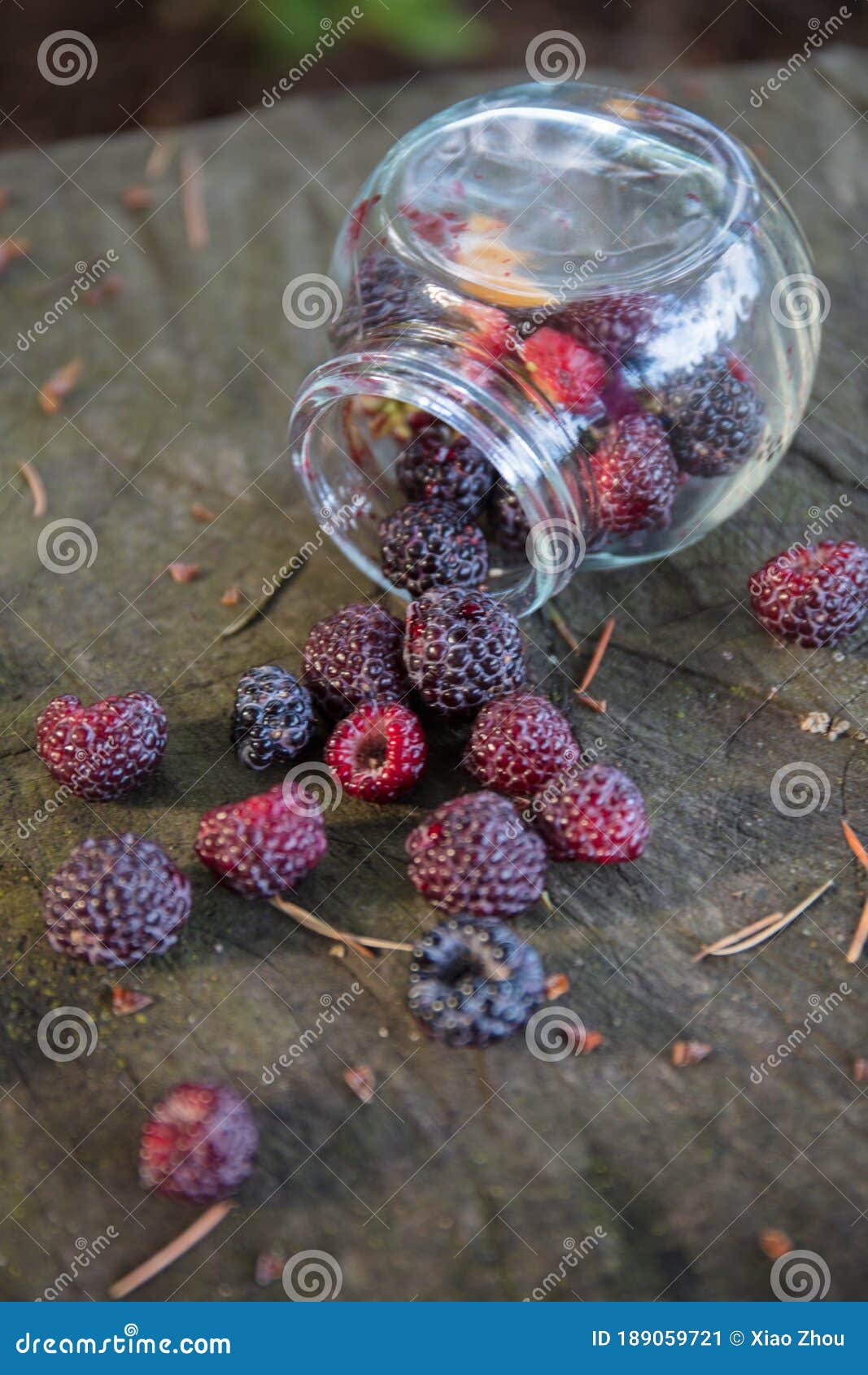 JEWEL raspberry stock image. Image of food, beer, diet 189059721