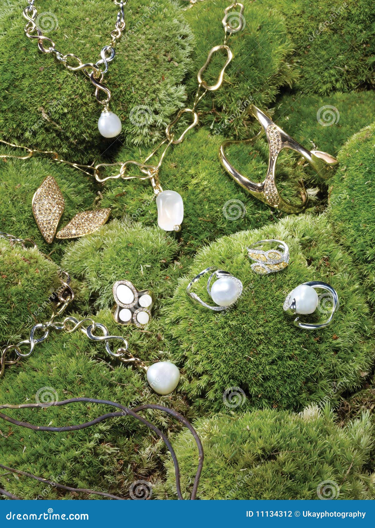 Jewellery on Mossy Stones stock photo. Image of displayed 11134312