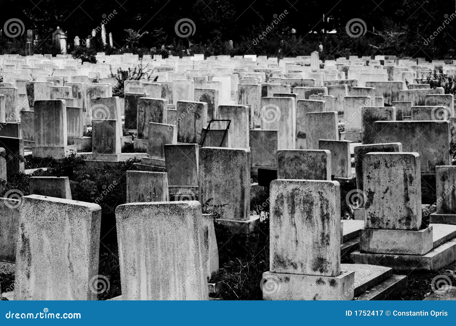 9,306 Black White Cemetery Stock Photos - Free & Royalty-Free Stock Photos  from Dreamstime