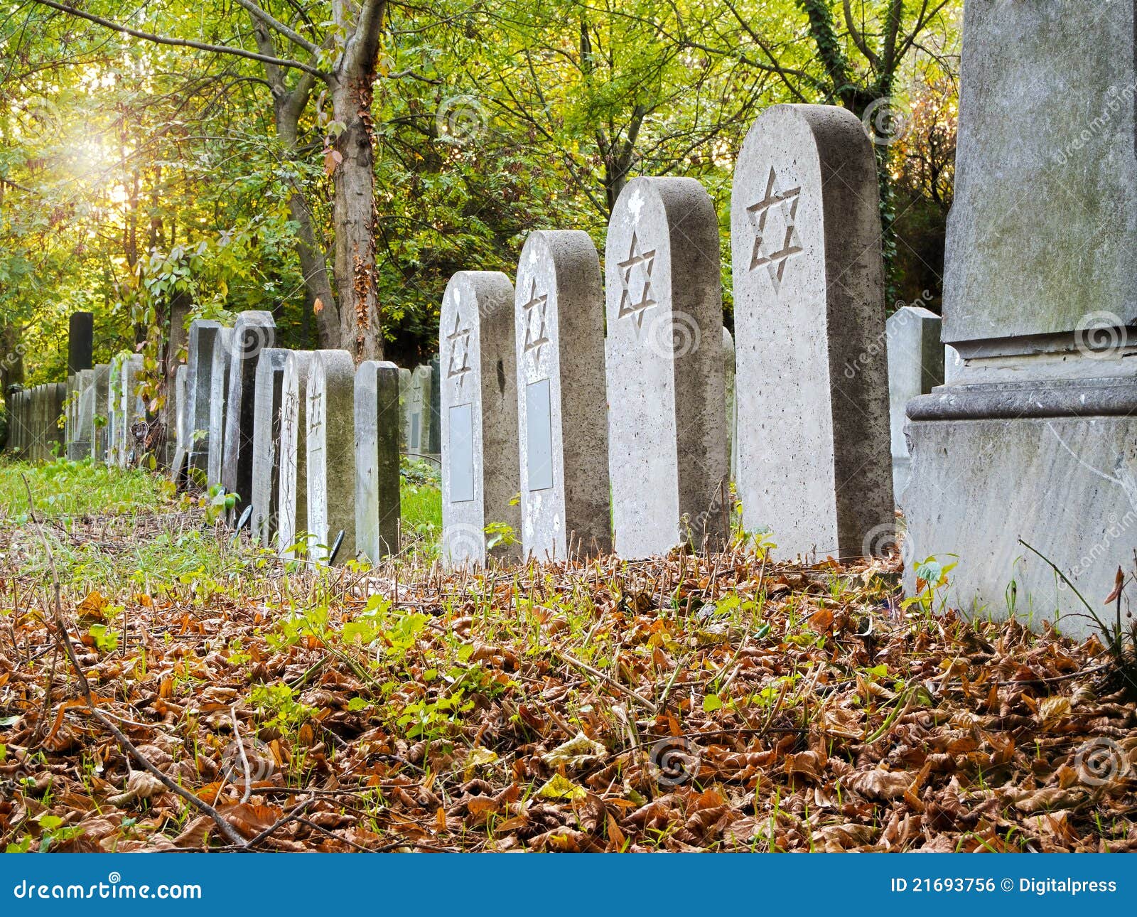 Jewish Cemetery stock photo. Image of david, outdoors 21693756