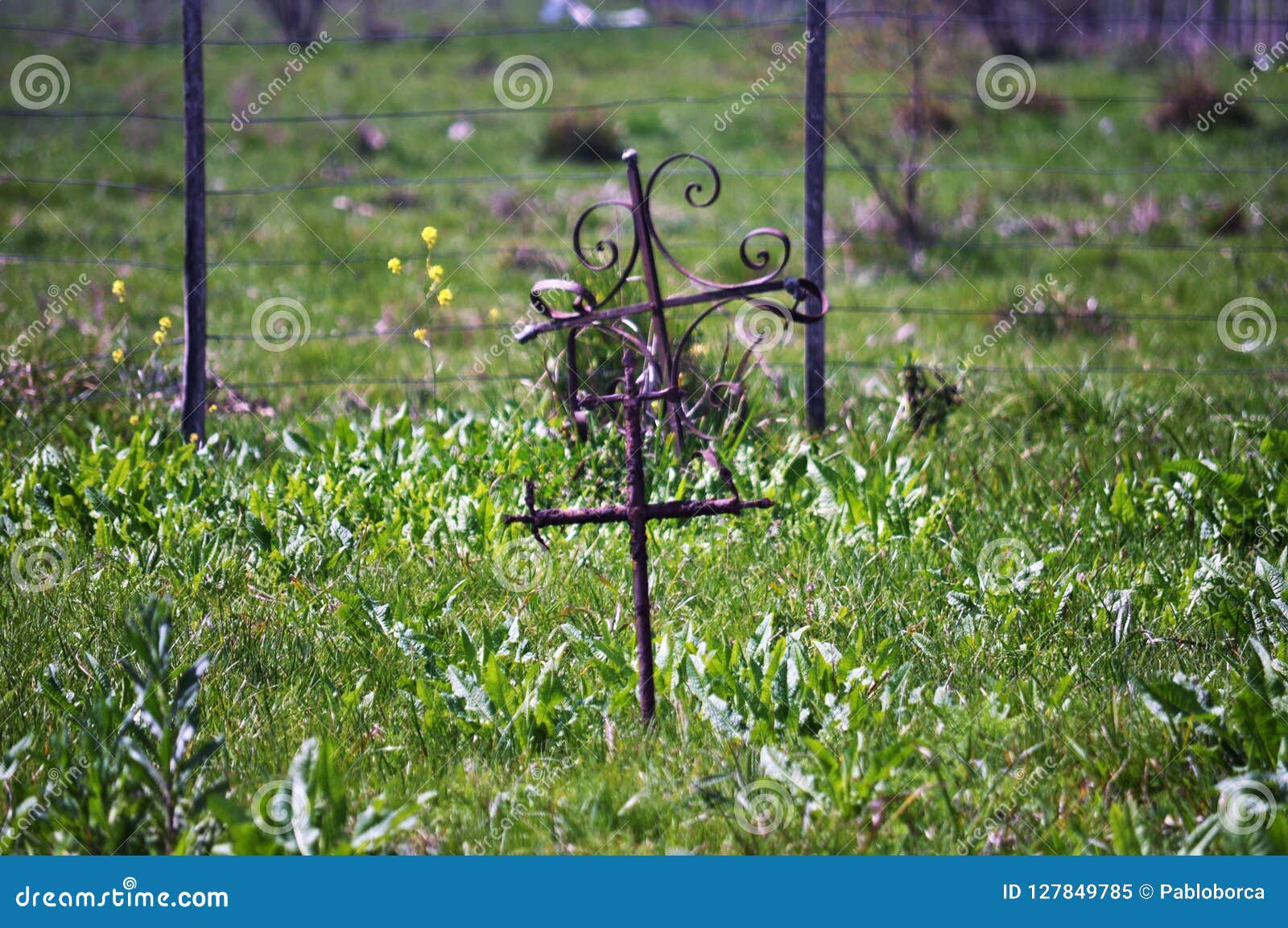 jewish cemetery