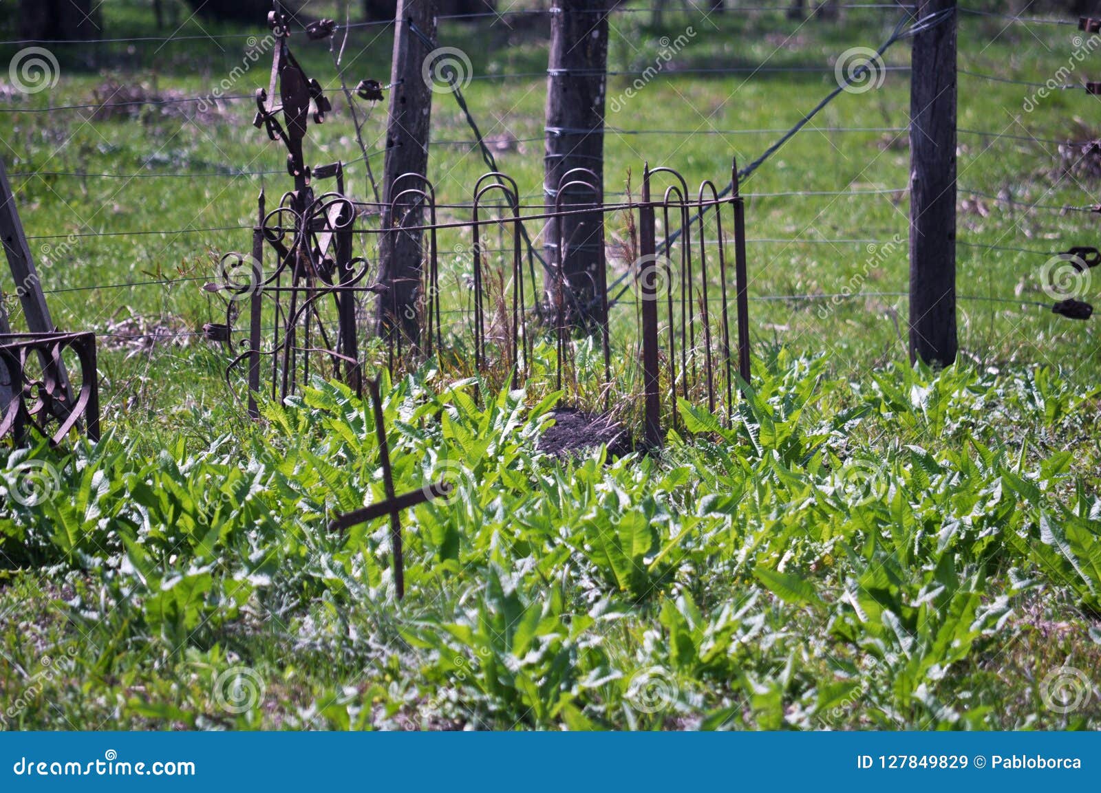 jewish cemetery