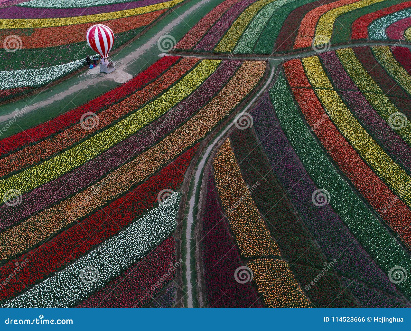 Jiangsu Yancheng: The Aerial Photography Of 30 Million ...