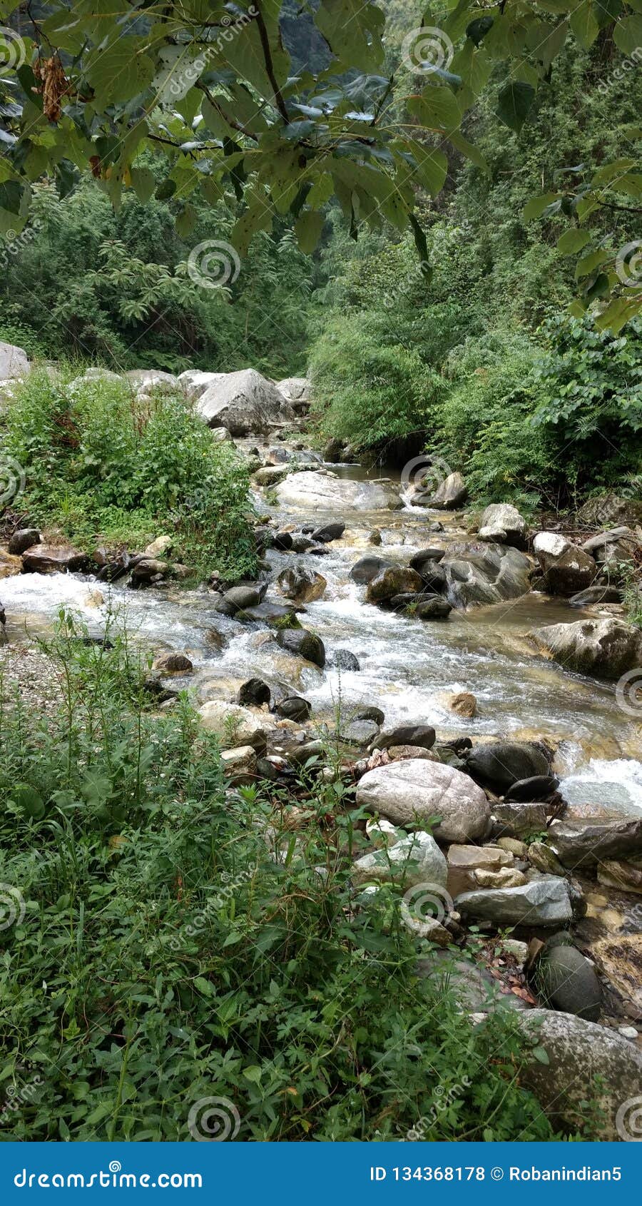 Jibhi himachal pradesh stock photo. Image of tirthan - 134368178