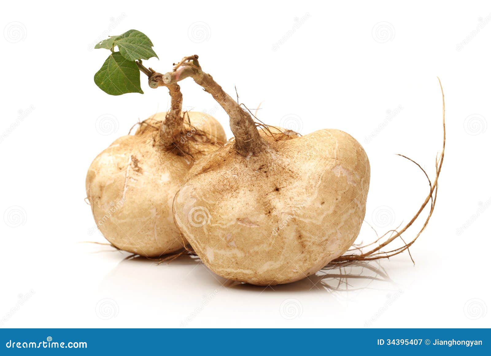Jicama image stock. Image du fond, légume, navet, entier 34395407