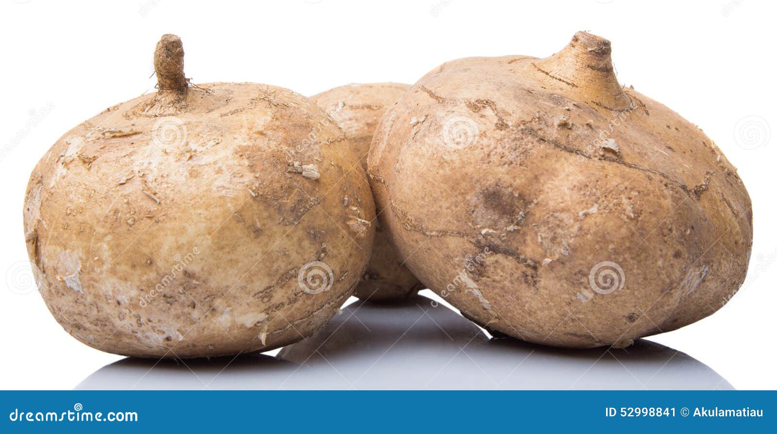 Jicama o ñame mexicano IV imagen de archivo. Imagen de crudo 52998841