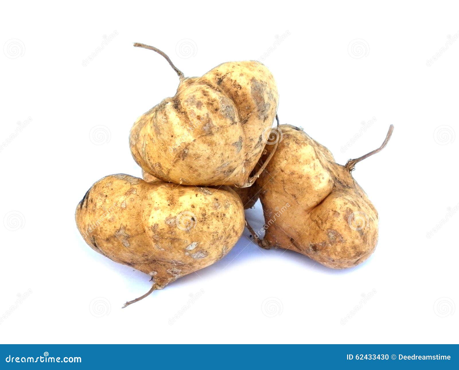 Jicama thai fruit stock photo. Image of fresh, white 62433430