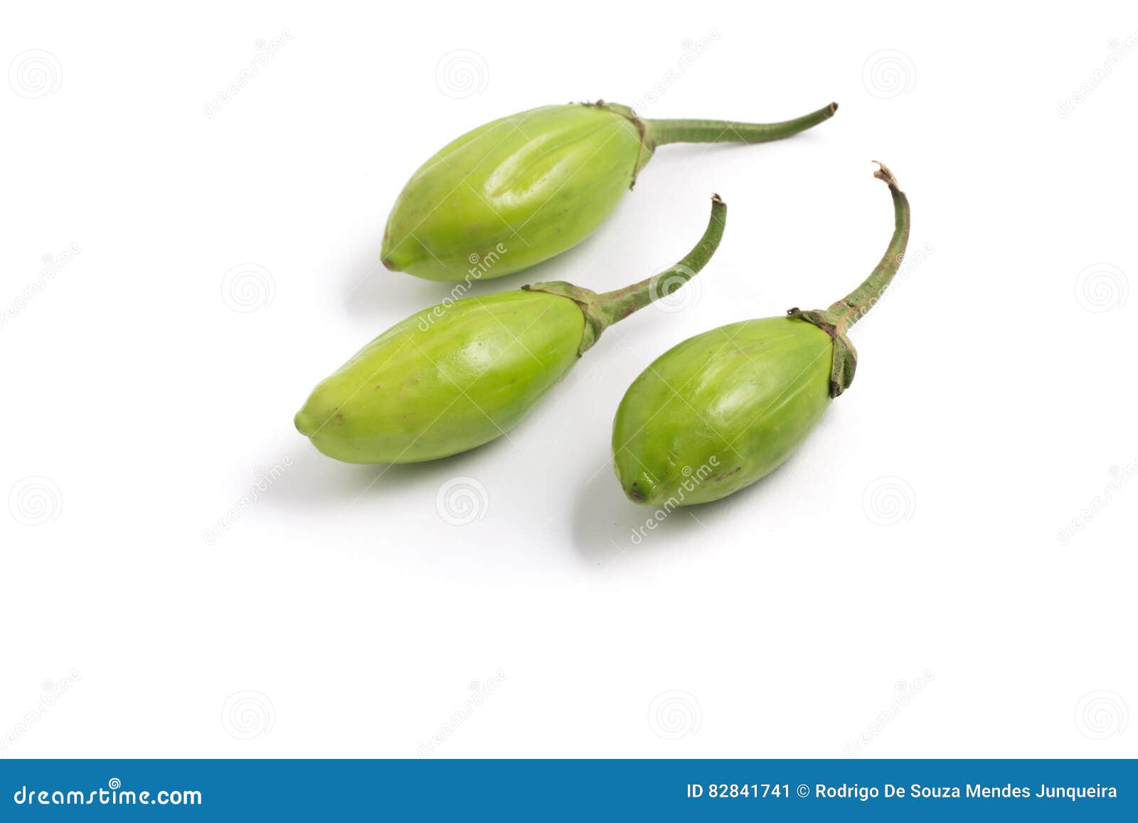 Premium Photo  Cooked scarlet eggplant salad or jilo in brazil. without  seasoning scarlet eggplant salad background